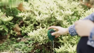 Soil Moist PH analyzer BBS