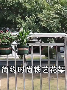 Iron-structured balcony railing with hanging flower pot rack hanging spider plant window sill bonsai frame