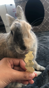 10m Palm Roll | Healthy Small Animal Chew Toys for Rabbit Bunny Hamster & Other Small Animals