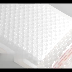 13 size Bubble Envelope Parcel Bag Courier Bag With Bubble Wrap Bubble Mailer Envelope Bubble Bag Flyers BE01