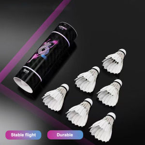 White Goose Feather 3/6Pcs Stable Flight Durable Badminton Shuttlecocks for Outdoor Training