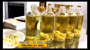 Tinh dầu Tràm Huế Ngâm Củ Nén - Hoa Nén - Chuẩn VietGAP - Chăm sóc mẹ và bé - 100ml