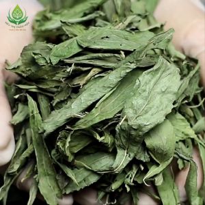 [HÀNG LOẠI 1] Trà Cỏ Ngọt 100gr Sấy Khô Tự Nhiên Loại Đẹp Nguyên Lá Không Vụn Chữa Tiểu Đường Cao Huyết Áp