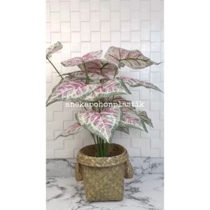 Pohon Hias Tanaman Daun Calladium Pink X18 Semilatex Artificial Cover Anyaman Purun Handle Small Hiasan Ruang Tamu Aesthetic