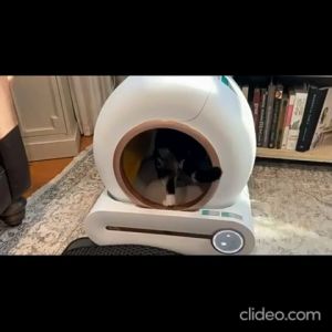 PAWCITY🐱【SMART CAT LITTER BOX】Automatic App Control Smart Cat Litter Box Tandas Kucing Automatik 智能自动猫砂盆