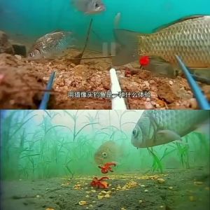 2025 Underwater Camera Visual Fish Finder HD Clear Water Penetration Night Vision Depth Temperature Probe Visual Anchor Fish Finder