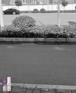 หลับไปง่ายๆ สเปรย์ฉีดหมอน นำเข้าจากเยอรมัน สเปรย์ช่วยหลับ ช่วยให้นอนหลับได้ดีขึ้น หลับลึก หลับจนเช้า สเปรย์ฉีดหมอน