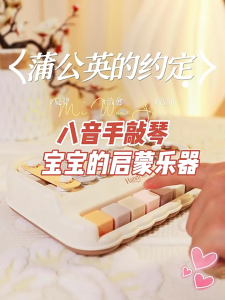 Oldlaiben 2 IN 1 Xylophone Piano Toy Educational Toys Musical Instrument Kids Gift Mainan Muzik Bayi 八音敲琴