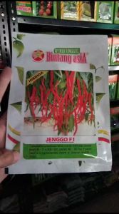 Benih Cabe Keriting Jenggo F1 Cabai Kemasan 10gr 100% Original Bintang Asia