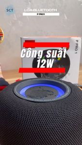 Loa Bluetooth P Pro 1 Sản Xuất 2024 - Thiết Kế Nhỏ Gọn Âm Thanh Sống Động và Bảo Vệ Kháng Nước IP67 - Bảo Hành Lỗi 1 Đổi 1
