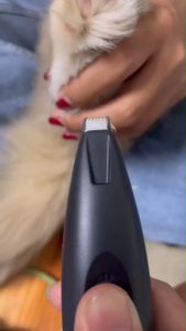 HM-ปัตตาเลี่ยนตัดขนสัตว์เลี้ยง แบบชาร์จ USB ตัดขนอุ้งเท้า ซอกเท้า ใบหู สำหรับแมว สุนัข และสัตว์เลี้ยง