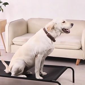 ที่นอนหมา พับ เปลสัตว์เลี้ยง ที่นอนสุนัข ที่นอนสัตว์เลี้ยง ที่นอนหมา เตียงแมว รักษาโรคผิวหนังและแผลกดทับ Elevated Dog Bed เตียงสัตว์เลี้ยง เตียงสุนัข ไซส์ XL ระบายอากาศ ระบายอากาศ ป้องกันความชื้น เตียงสำหรับสัตว์เลี้ยง