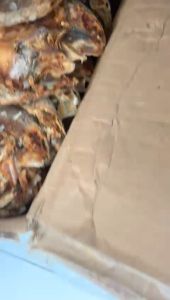 ikan asin samge belahan kepala batu