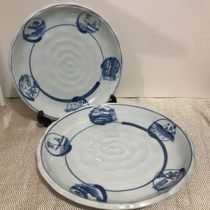 🇯🇵JAPAN SURPLUS 2-PC Tachikichi Hand Painted Plates