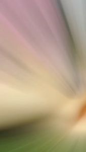 VERSKI Deoxy Sandal Wanita: Pilihan Tepat untuk Keseharian Anda