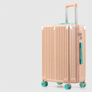 Cute Durable 20 inch Luggage