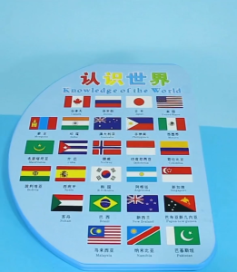 [SG STOCK] Map and Flags World Map with Countries Flags (XL Size) - Age 3+ Learning Education Geography Knowledge Kid Children Present Gift Christmas