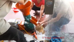 Máy ép cám trục liền 3 quả lô  ép thành viên làm cám cho vật nuôi