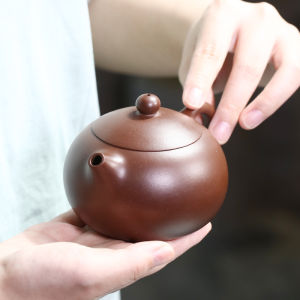 CANGHUTIANXIA | Yixing Zisha Clay Handmade Teapot Xishi Style