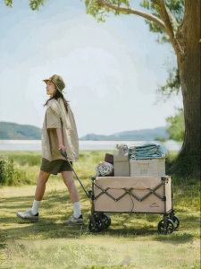 NatureHike | Folding Camp Trolley Portable Cart for Picnic Travel Children