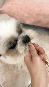 Bare Kitchen Premium Pet Ham Sausage: A Gourmet Treat for Your Pets