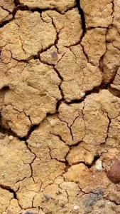 KAPTAN (Kapur Pertanian) MSG 3 Semua ukuran