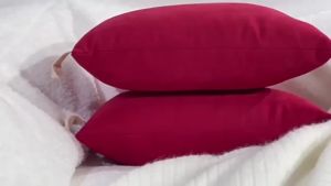 Mini Pillows For Daycare Travel Nap Pillow Childrens Accompanying Nap Pillow Car Pillow Adult Neck Pillow Office Nap Pillow