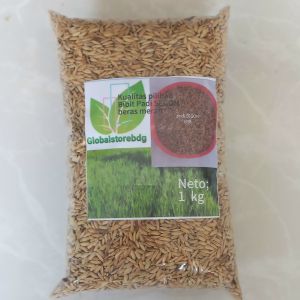 Bibit padi SEGON super 1 kg