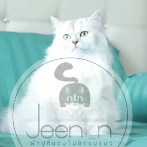 ผ้าปูที่นอน 6ฟุต ผ้าปูที่นอนรัดมุม cotton ชุดผ้าปูที่นอน พร้อม ผ้านวม 6ฟุต ผ้านุ่ม ลื่น ไม่ติด ขนแมว 3.5ฟุต 5ฟุต 6ฟุต