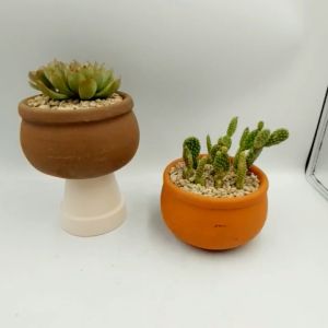 Chậu đất nung chậu sen đá - Niêu 117 miệng chậu 11cm chiều cao 7cm