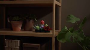 LEGO Botanicals 10309 Succulents (771 Pieces) Building Block Toys Bricks