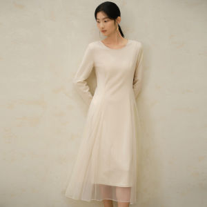 Yigue | Elegant Mesh Long Sleeve Distinctive Dress