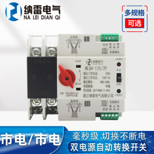 Uninterrupted Power 220V Home Electric Millisecond Level Switch Automatic Dual Power Source Converter 2P 100A 80A 63A