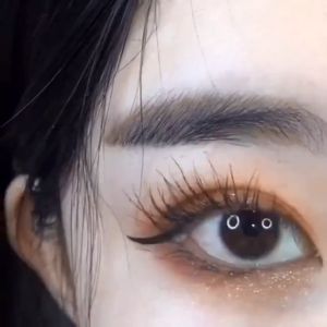 Lameila Mascara Long-lasting Waterproof Curling Mascara Lenthening Thining UP DOWN Eyelash Make Up Fast Dry Smudgeproof Small Brush Mascara Long Thick Eyelash Extension
