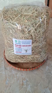 1kg cây mần trầu sấy khô