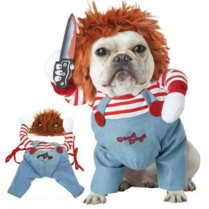 Small Pet Costume & Pet Cosplay Suit: A Comprehensive Guide