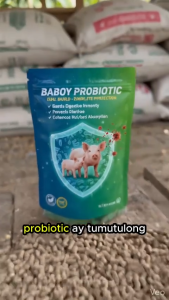 Baboy Probiotic Powder 250g – Fast Weight Gain Healthy Gut & Better Feed Absorption