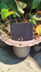 【การประกัน 1 ปี】15W ปั๊มลมพลังงานแสงอาทิตย์ USB ปั๊มออกซิเจนพลังงานแสงอาทิตย์ อุปกรณ์ตู้ปลา ปั๊มลมแบบพกพากลางแจ้งตกปลาอาหารทะเลออกซิเจน