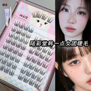 Natural Looking Fake Eyelashes Single Cluster Segmented Fairy Style Easy to Use Female Group Members Willing to Pay High Prices