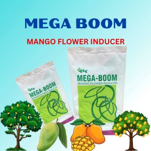 MEGABOOM MANGO KILO: A Compact & High-Quality Wireless Sound System