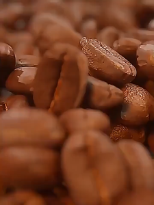 【SG Inventory】Solid instant black coffee sugar-free 0 fat coffee black coffee