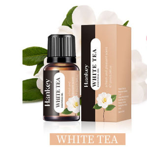 Bộ 20 Mùi Hương Tinh Dầu 10ml Dùng Cho Máy Khuếch Tán Hương Thơm Máy Tạo Độ Ẩm Không Khí Nước Hoa Gia Dụng Tan Trong Nước Gồm Lavender Vanilla Orange Olive