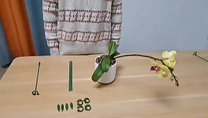 10Pcs 37cm Plant Support Stick / Penyangga Tanaman Rambat / Bracket Holder Tanaman Bunga