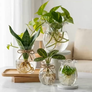Bình Hoa Thủy Tinh Dáng Bầu Dục Miệng Bèo Decor Nhiều Kích Thước Trang Trí Nhà Cửa Cao Cấp