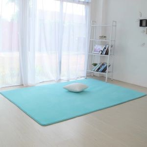 Thảm Trải Sàn Màu Trơn VIKAMA Thảm Trải Sàn Diện Tích Lớn Cho Phòng Tập Yoga Phòng Khách Sofa Phòng Ngủ - Có Thể Giặt Bằng Máy Chống Thấm Nước Chống Phai Màu 100% Polyester