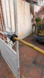 Ống Dao Cạo Vỏ Mía Siêu Tốc