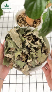 Lá sen khô 100g trà lá sen xanh thơm sạch - Chợ Thảo Dược Việt