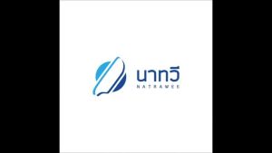 เครื่องสีข้าวกล้อง รุ่น NW250 (Brown rice มลลงเครื่อง กะเทาะเมล็ดมือ)