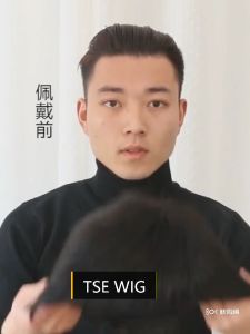 Mũ tóc giả tự nhiên đầy đủ màu đen dành tặng ngày của cha TSE Mens Human Hair Wig mẫu RW15