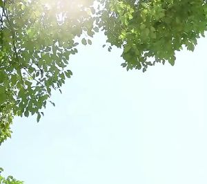 Ultimate Guide to Portable & Foldable Mini Handheld Fans